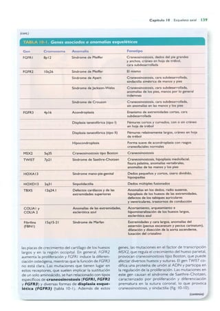 Langman.embriologia.medica.12ª