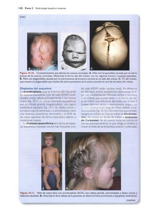 Langman.embriologia.medica.12ª