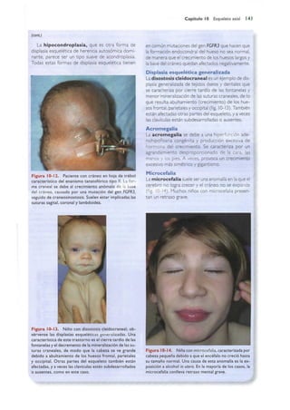 Langman.embriologia.medica.12ª