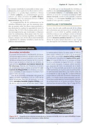 Langman.embriologia.medica.12ª