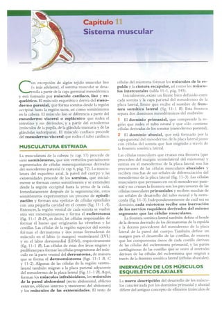 Langman.embriologia.medica.12ª