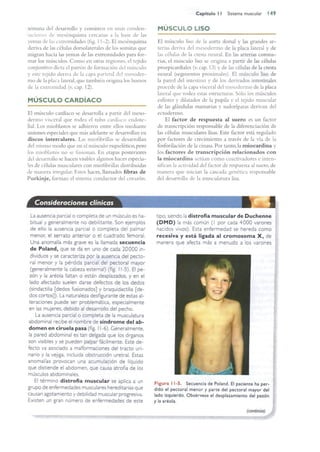 Langman.embriologia.medica.12ª