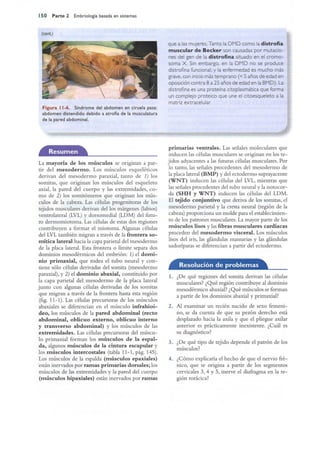 Langman.embriologia.medica.12ª