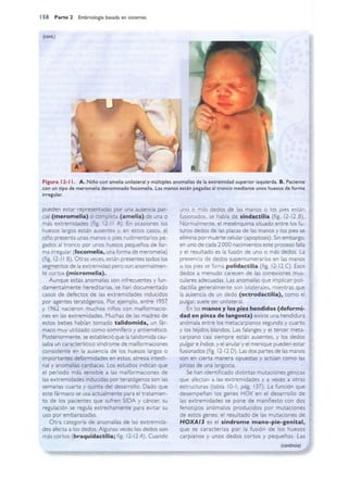 Langman.embriologia.medica.12ª