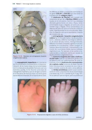 Langman.embriologia.medica.12ª