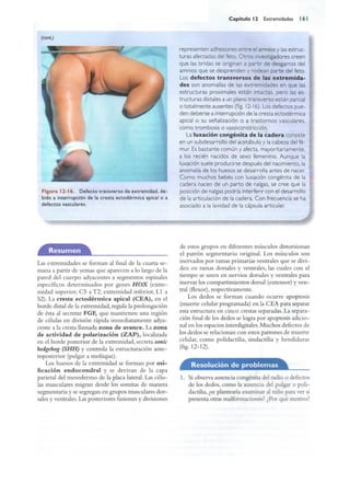 Langman.embriologia.medica.12ª