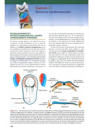 Langman.embriologia.medica.12ª