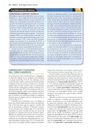 Langman.embriologia.medica.12ª