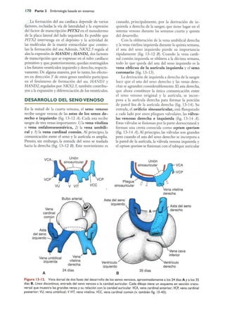 Langman.embriologia.medica.12ª