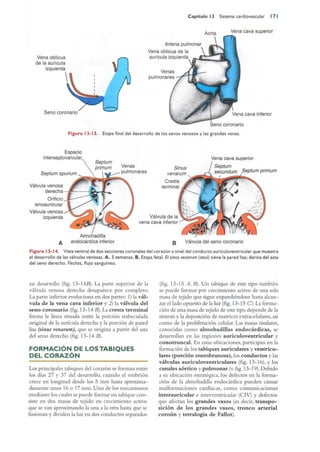Langman.embriologia.medica.12ª