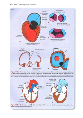 Langman.embriologia.medica.12ª