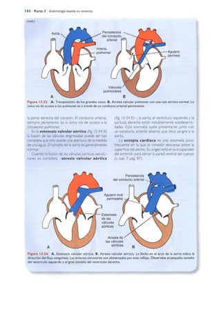 Langman.embriologia.medica.12ª