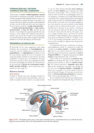 Langman.embriologia.medica.12ª