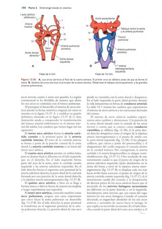 Langman.embriologia.medica.12ª
