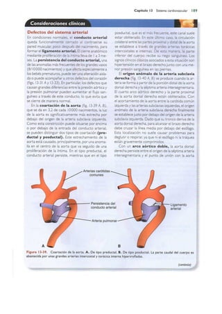 Langman.embriologia.medica.12ª