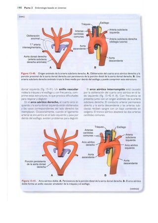 Langman.embriologia.medica.12ª