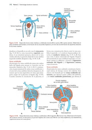 Langman.embriologia.medica.12ª