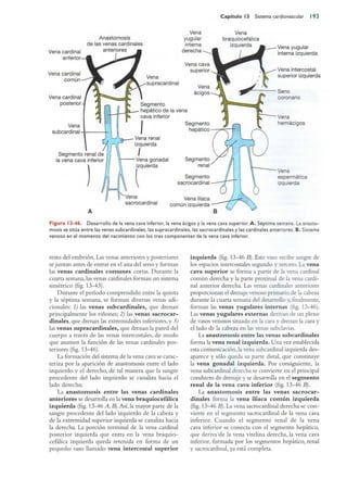 Langman.embriologia.medica.12ª