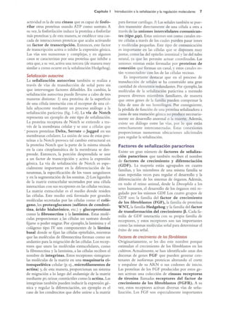 Langman.embriologia.medica.12ª