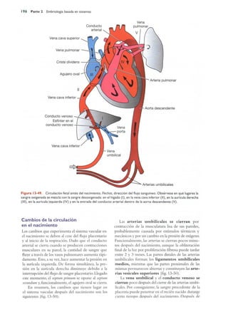 Langman.embriologia.medica.12ª