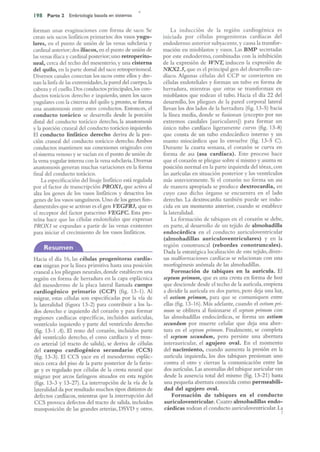 Langman.embriologia.medica.12ª