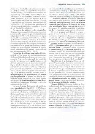 Langman.embriologia.medica.12ª