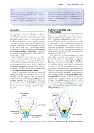 Langman.embriologia.medica.12ª
