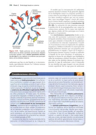 Langman.embriologia.medica.12ª
