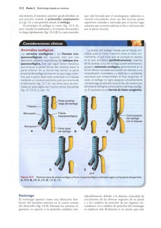 Langman.embriologia.medica.12ª