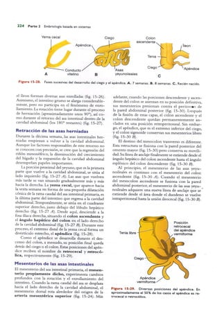 Langman.embriologia.medica.12ª