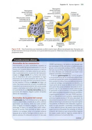 Langman.embriologia.medica.12ª