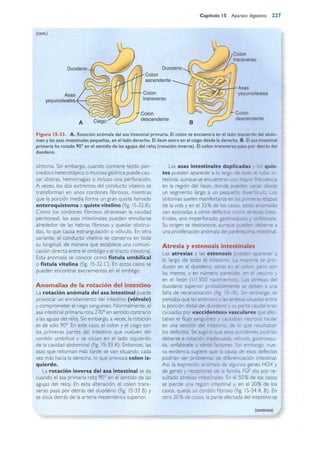 Langman.embriologia.medica.12ª