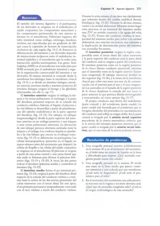 Langman.embriologia.medica.12ª