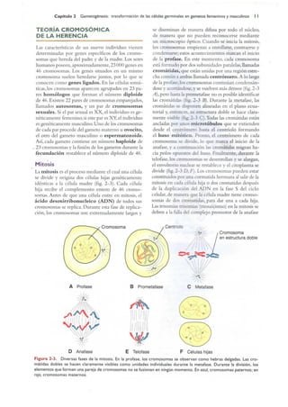Langman.embriologia.medica.12ª