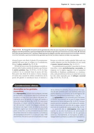 Langman.embriologia.medica.12ª