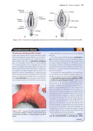 Langman.embriologia.medica.12ª