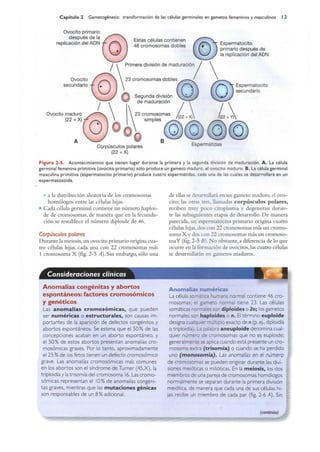 Langman.embriologia.medica.12ª