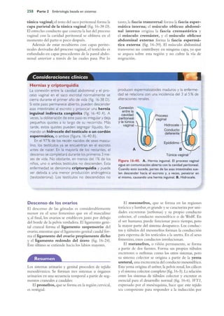 Langman.embriologia.medica.12ª