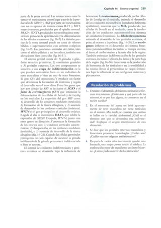 Langman.embriologia.medica.12ª