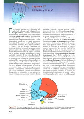 Langman.embriologia.medica.12ª