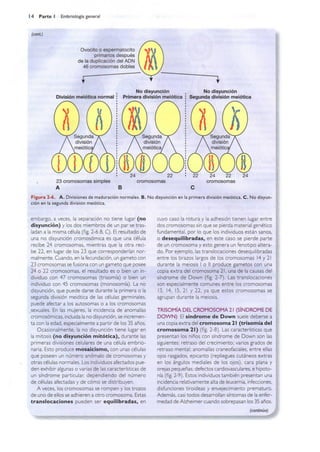 Langman.embriologia.medica.12ª