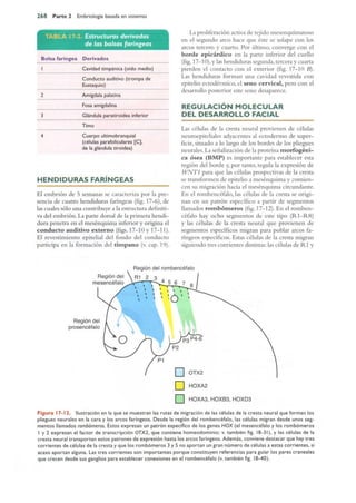 Langman.embriologia.medica.12ª