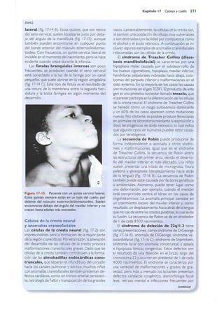 Langman.embriologia.medica.12ª