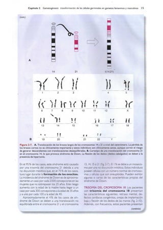 Langman.embriologia.medica.12ª