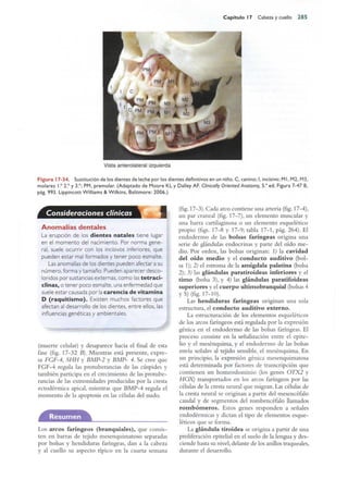 Langman.embriologia.medica.12ª