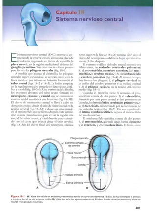Langman.embriologia.medica.12ª