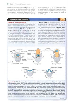 Langman.embriologia.medica.12ª