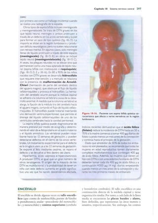 Langman.embriologia.medica.12ª