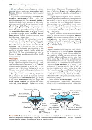 Langman.embriologia.medica.12ª