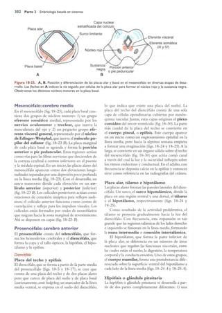 Langman.embriologia.medica.12ª